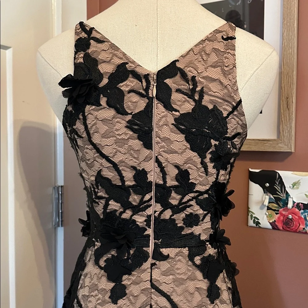 Dress the Population Sidney Black Floral Lace bodycon sheer lace XXS Maxi Dress - Picture 11 of 16